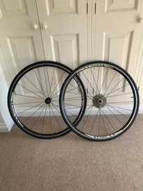 earthcroc turbo trainer